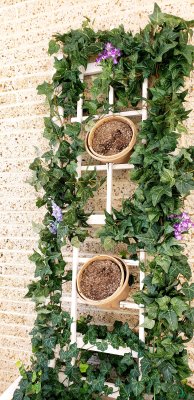 Planters at the Reges Hotel