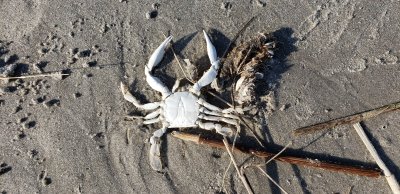 Washed Up