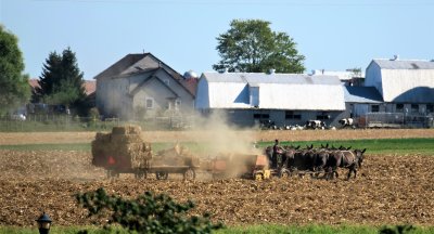 Dusty Field Work