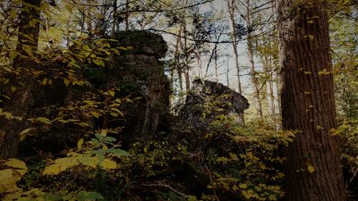 Something is waiting to jump us in these woods.