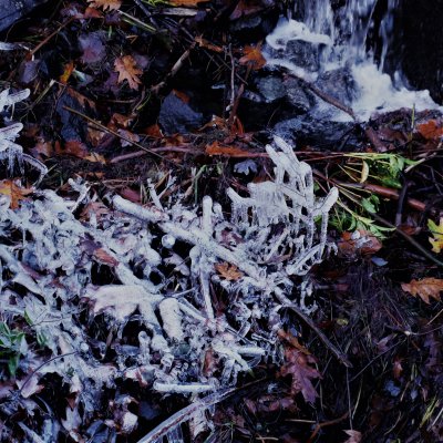 The inevitable return of winter