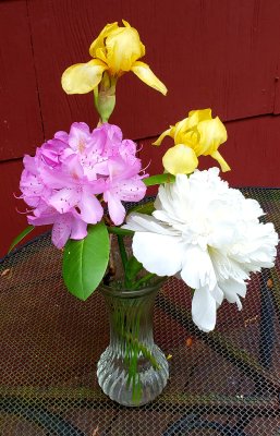 A bouquet of home grown blooms