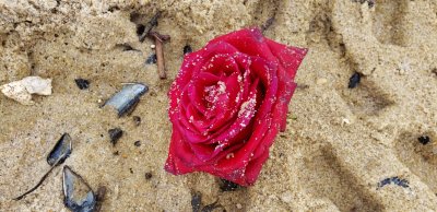 A find on the beach