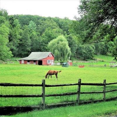 A hot summer's day in Sussex County