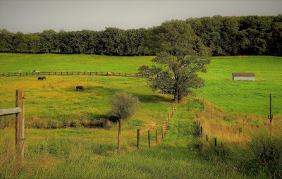 Horse pastures in Warren County