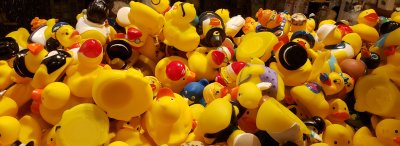 Yellow Ducky Riot
