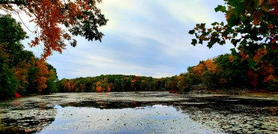 Johnsons Lake in Fall Colors