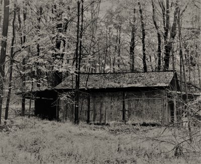 An old shed in the neighborhood