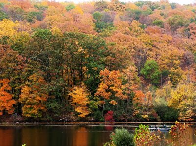 An overcast day in Sussex County, New Jersey