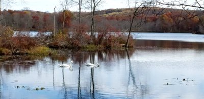 Jefferson Lake in Autumn