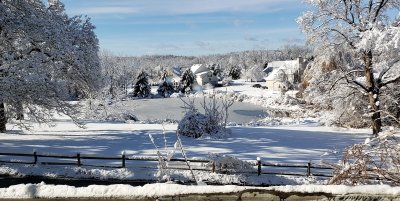 Snowy day, along country road in Sussex County