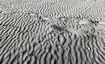Impressions in windblown sand
