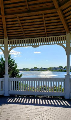 A shady spot at the shore