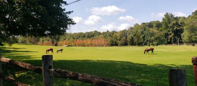 Early Fall in Sussex County