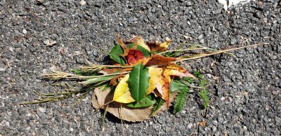 Bouquet of fallen leaves