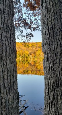 Perhaps the last week of fall