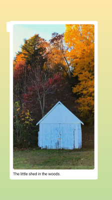 The little white shed in fall