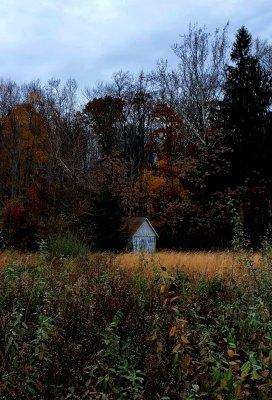 The little white shed in fall