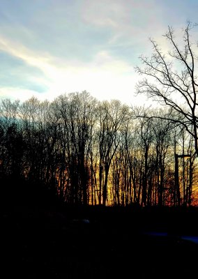 Walking at sunset time