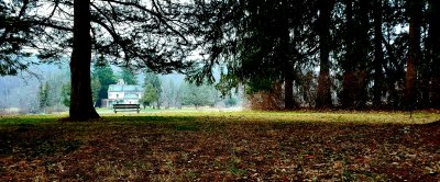 Our favorite bench on the last day of 2021