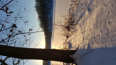 The lake behind our house in winter