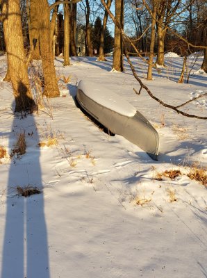 Daring to step on the ice