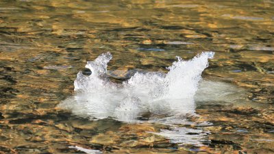 g12/42/1035742/3/172392608.z3r3qnpL.jpg