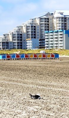 Beach Scene New Jersey Style 