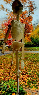 Halloween  is just around the corner
