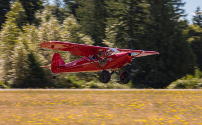 N311M_FirstFlight_080920_235-11-11.JPG