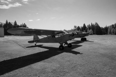 20200817-_MG_6442.jpg