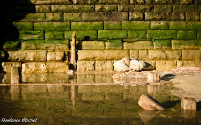 Tide mark, Bridlington, December 2019.jpg