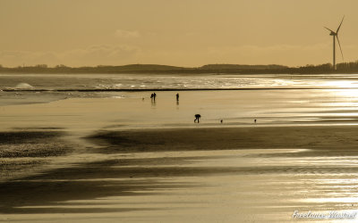 South Beach, Bridlington.jpg