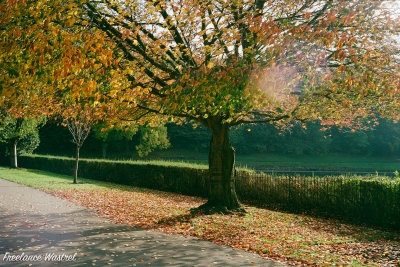 Crookes Valley Park, October 2019.jpg