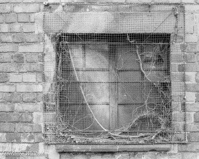 Barred window, Long Eaton
