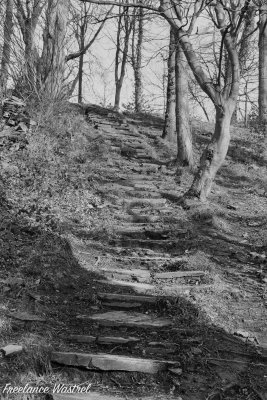 Woodland Staircase, February 2020