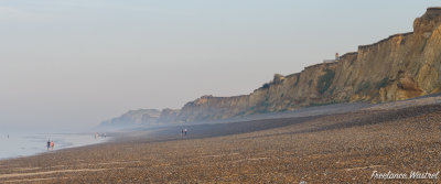 g12/42/1201842/3/172007481.j0v8AxK4.jpg