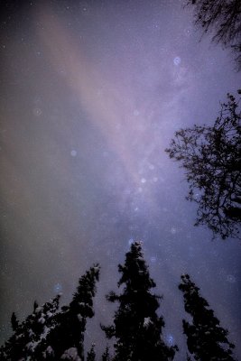 566BAE9E-7860-4A06-8F93-CC409D60AAF1.jpeg