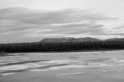 _11A6443.jpg