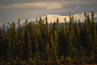 _11A6456.jpg