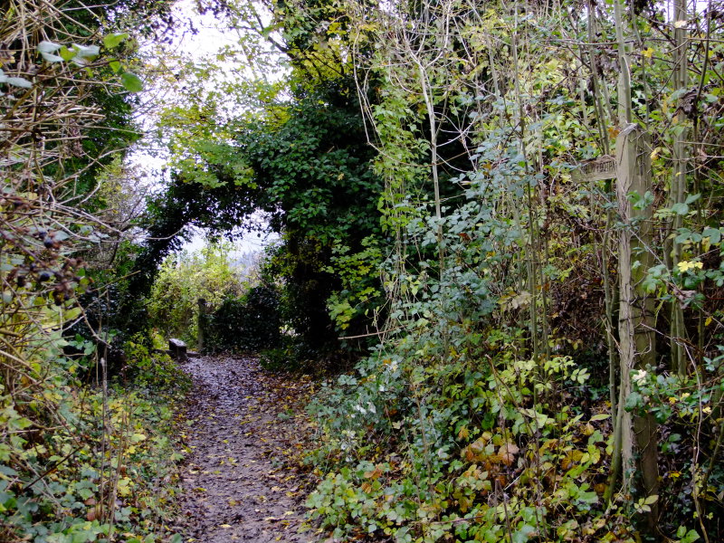 Starting out in Pompey 049.JPG
