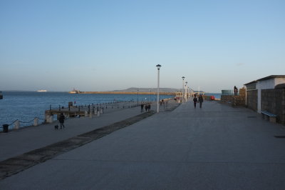 137.JPG