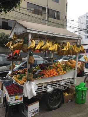 Mercado Surquillo