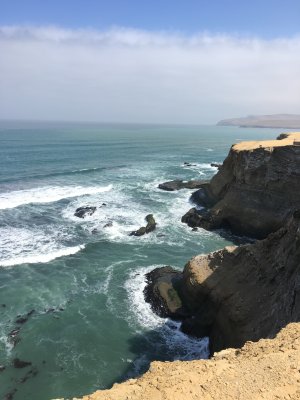 Paracas Nature Reserve