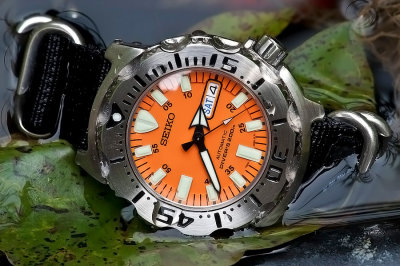 Timezone.com Dive Watch Forum Header Contest...
