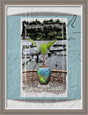 vaseplant.jpg