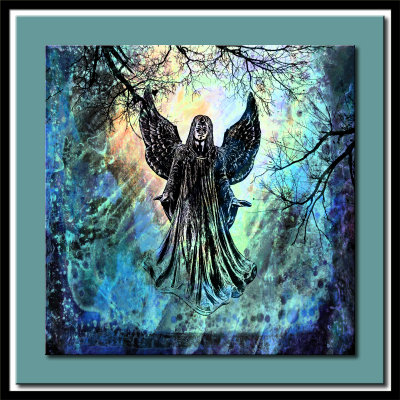 angel.jpg