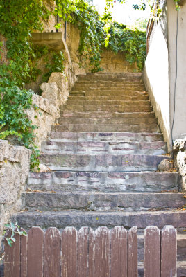 ORGsteps 9- 07 .jpg
