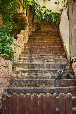 steps 9- 07 .jpg