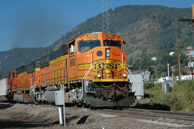 ORGtrain.jpg